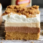 No-Bake Biscoff and Nutella Dream Bars with creamy cheesecake layers – best no-bake dessert recipes